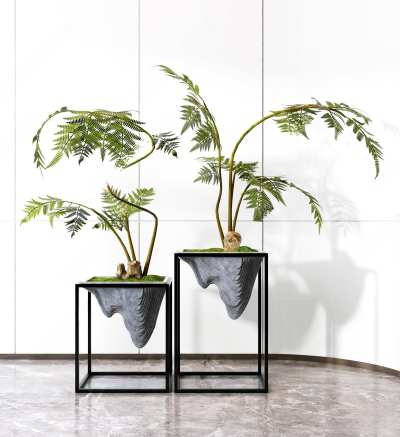 绿植盆栽3D模型下载